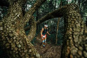 BIB: 
                            <button type="button" onclick="openModal(25668734)" class="btn btn-primary btn-sm float-right btn-popup" data-toggle="modal" data-target=".modal-high-quality">
                        <i class="fas fa-shopping-cart"></i> Add to Cart
                    </button>
                                            <button type="button" onclick="isThisMe(25668734, true)" class="btn btn-success btn-sm float-right btn-popup btn-isme hidden" data-toggle="tooltip" data-placement="bottom" title="นี่คือรูปของคุณใช่ไหม คลิกที่นี่เพื่อเอาเข้าอัลบั้ม">
                        <i class="fas fa-plus"></i> Add to album
                    </button>
                    <button type="button" onclick="isThisMe(25668734, false)" class="btn btn-warning btn-sm float-right btn-popup btn-isnotme hidden">
                        <i class="fas fa-ban"></i> Remove from album
                    </button>